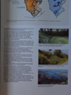 Ausstellung "Neue Ufer"