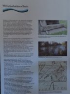 Ausstellung "Neue Ufer"