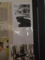 Ausstellung "Neue Ufer"