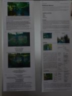 Ausstellung "Neue Ufer"