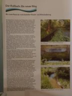 Ausstellung "Neue Ufer"