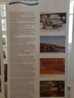 Ausstellung "Neue Ufer"