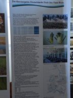 Ausstellung "Neue Ufer"