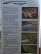 Ausstellung "Neue Ufer"