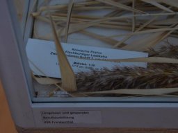 Ausstellung "Neue Ufer"