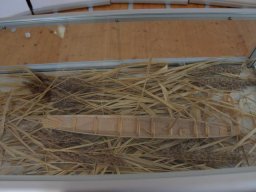 Ausstellung "Neue Ufer"